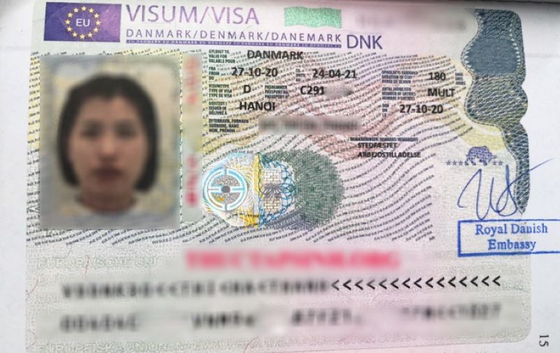 Các loại visa Đan Mạch phổ biến (Ảnh: Sưu tầm)