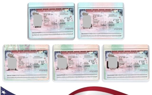 Visa Đất Việt giúp xử lý hồ sơ nhanh chóng và tăng cơ hội đậu (Ảnh: Đất Việt Tour)