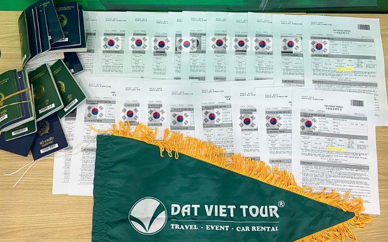 Dịch vụ xin visa Hàn Quốc 2026 chuyên nghiệp (Ảnh: Visa Đất Việt)